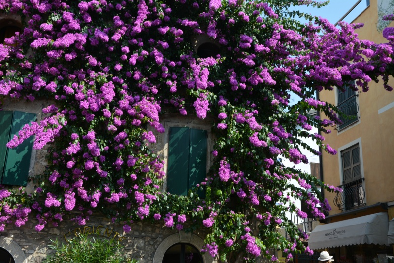 Scooterata sul garda 231